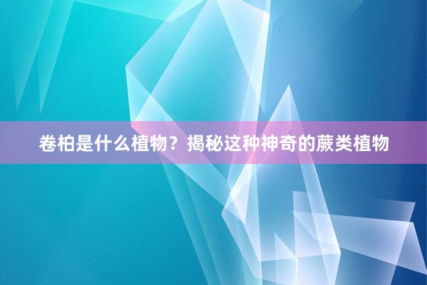 卷柏是什么植物？揭秘这种神奇的蕨类植物