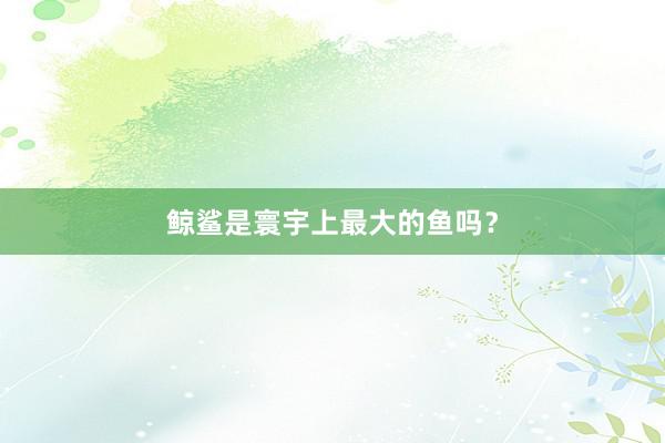鲸鲨是寰宇上最大的鱼吗？